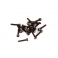 VBC M2.5x12mm Cap Head Screw