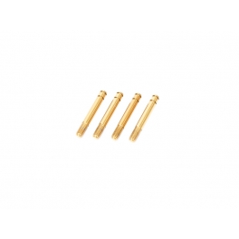 VBC Titanium Coated TBBS Shock Shaft