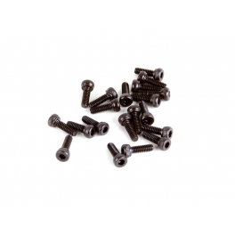 VBC M2.5x8mm Cap Head Screw