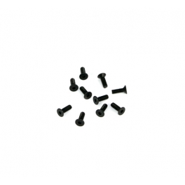Destiny Tornillos M2,5x8 de Cabeza Plana, 10pcs