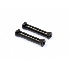 Roche Rapide P10W Postes de Soporte de Aluminio