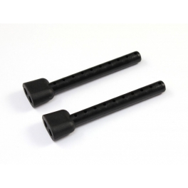 Roche Body Post, 2 pcs