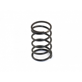 Roche DVS-W Center Damper Spring (Medium)
