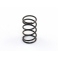 Roche DVS-W Center Damper Spring (Hard)