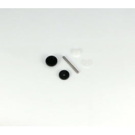 Roche Rapide P12-2017 DVS-W Shock Maintance Kit