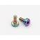 Roche M3x8mm Ti Motor Screw, Rainbow Color, 2pcs Arcoíris