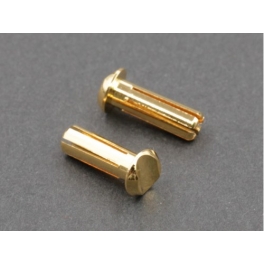 Radtec Conectores de Bater&iacute;a de 4mm LCG, 2pcs
