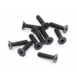 Roche M2.5x10mm Flathead Screw, 10 pcs
